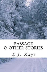 bokomslag Passage and Other Stories