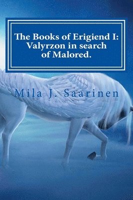 bokomslag The Books of Erigiend I: Valyrzon in search of Malored.