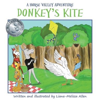 bokomslag Donkey's Kite: A Horse Valley Adventure-Book 2