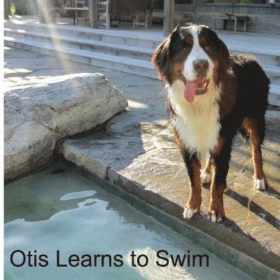 Otis Learns to Swim 1