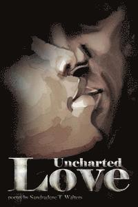 bokomslag Uncharted Love