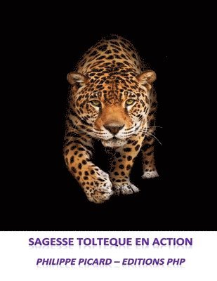 bokomslag Sagesse Tolteque en Action