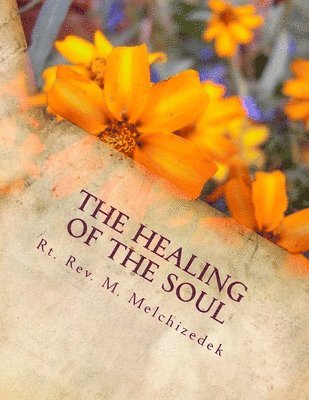 bokomslag The Healing of the Soul: through the eyes of the Christian Church Fathers