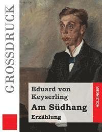 Am Südhang (Großdruck): Erzählung 1