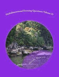 bokomslag Multidimensional Dowsing Questions: Volume IV