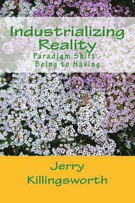 bokomslag Industrializing Reality: Paradigm Shift- Being Real-to-Having Truth