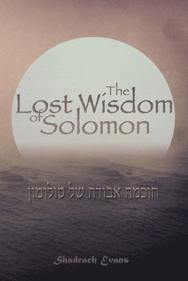 bokomslag The Lost Wisdom of Solomon