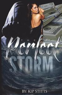 bokomslag The Perfect Storm