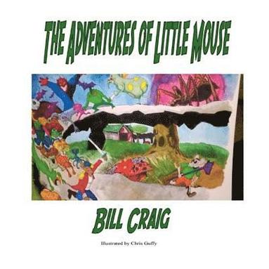 bokomslag Adventures of Little Mouse
