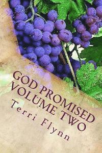 bokomslag God Promised Volume Two: Proclaiming the Word Over