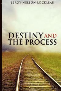 bokomslag Destiny and The Process