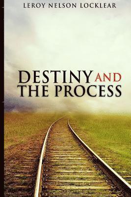 bokomslag Destiny and The Process