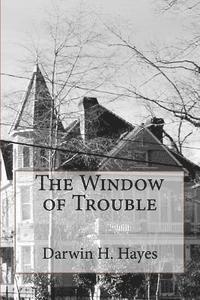 bokomslag The Window of Trouble