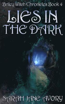 bokomslag Lies In The Dark