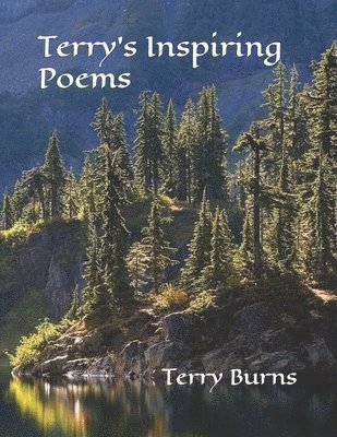 bokomslag Terry's Inspiring Poems