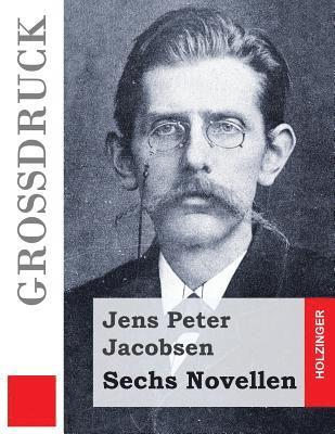 Jens Peter Jacobsen - Sechs Novellen (Großdruck), Häftad