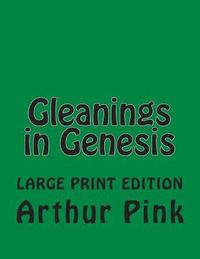 bokomslag Gleanings in Genesis