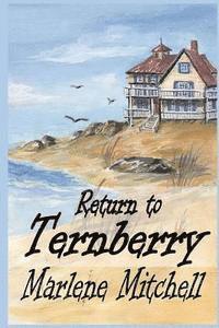 bokomslag Return to Ternberry