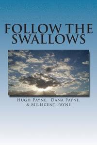 bokomslag Follow The Swallows