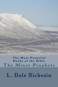 bokomslag The Most Powerful Books of the Bible: The Minor Prophets