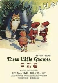 bokomslag Three Little Gnomes (Traditional Chinese): 09 Hanyu Pinyin with IPA Paperback B&w