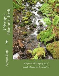 Olympic National Park: Magical photographs of quiet places and paradise 1