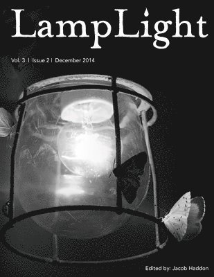 LampLight - Volume 3 Issue 2 1