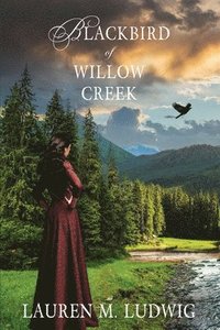 bokomslag Blackbird of Willow Creek
