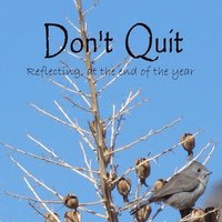 bokomslag Don't Quit