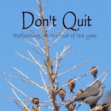 bokomslag Don't Quit