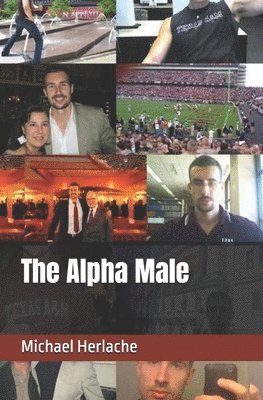 bokomslag Alpha Male
