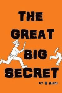 bokomslag The Great Big Secret