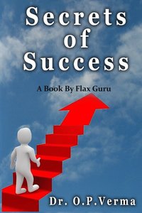 bokomslag Secrets of Success