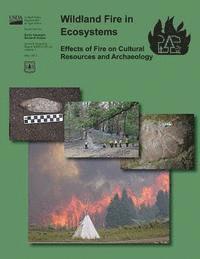 bokomslag Wildland Fire in Ecosystems Effects of Fire on Cultural Resources and Archaeology