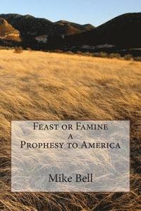 bokomslag Feast or Famine a Prophesy to America