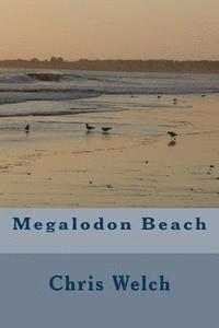 bokomslag Megalodon Beach