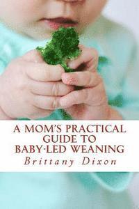 bokomslag A Mom's Practical Guide to Baby-Led Weaning