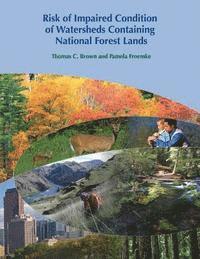 bokomslag Risk of Impaired Condition of Watersheds Containing National Forest Lands