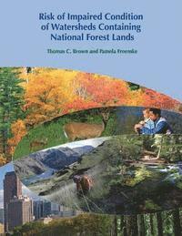 Pamela Froemke, Thomas C. Brown - Risk of Impaired Condition of Watersheds Containing National Forest Lands, Häftad