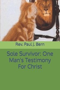 bokomslag Sole Survivor: One Man's Testimony For Christ