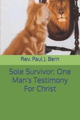 bokomslag Sole Survivor: One Man's Testimony For Christ