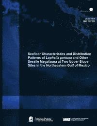 bokomslag Seafloor Characteristics and Distribution Patterns of Lophelia pertusa and Other Sessile Megafauna at Two Upper-Slope Sites in the Northeastern Gulf o
