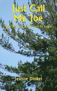 bokomslag Just Call Me Joe: The Story of a Boy and an Eagle