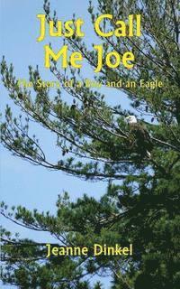 bokomslag Just Call Me Joe: The Story of a Boy and an Eagle