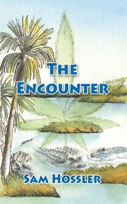 The Encounter 1