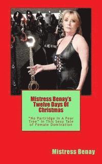 bokomslag Mistress Benay's Twelve Days Of Christmas: 'No Partridge In A Pear Tree' In This Christmas Tale