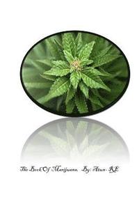 bokomslag The Book Of Marijuana