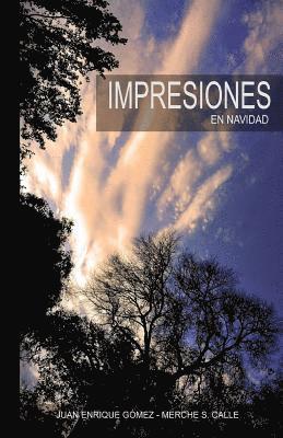 bokomslag Impresiones: En Navidad