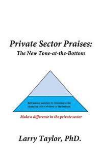bokomslag Private Sector Praises: The New Tone-at-the-Bottom