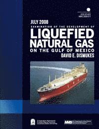 bokomslag Examination of the Development of Liquefied Natural Gas on the Gulf of Mexico